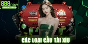 Các Loại Cầu Tài Xỉu