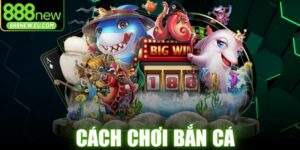 Cách Chơi Bắn Cá